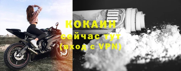 спиды Пересвет