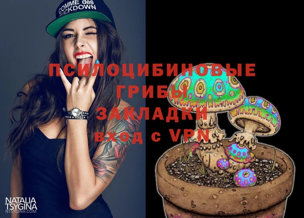 СК Алексеевка